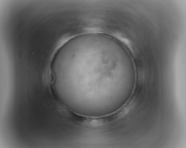 X0000103241365200809181535