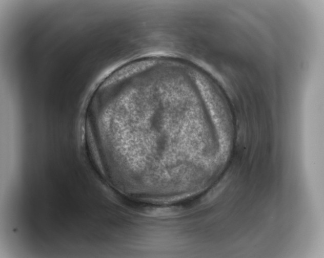 X0000103241367200809181535