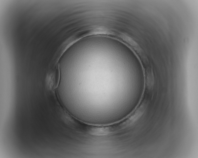 X0000103241369200809181535