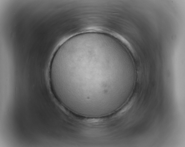 X0000103241373200809181535