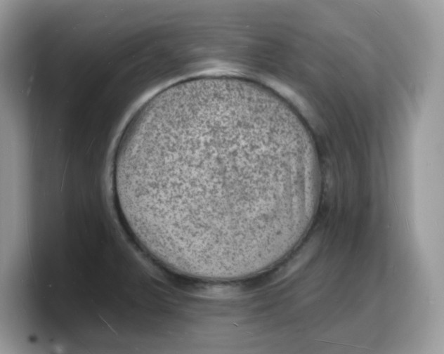 X0000103241375200809181535