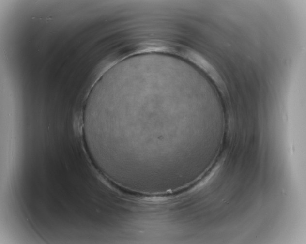 X0000103241377200809181535