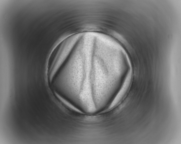 X0000103241378200809181535