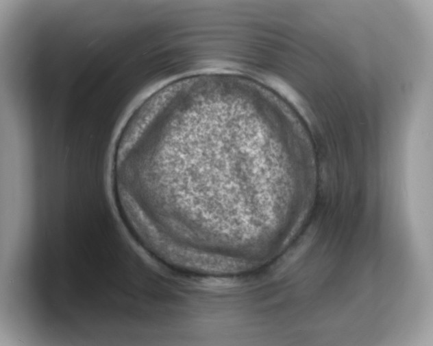 X0000103241379200809181535