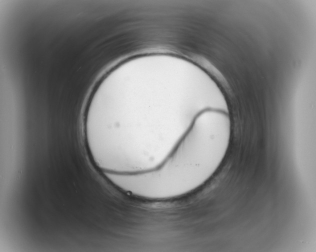 X0000103241380200809181535