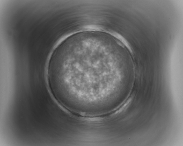 X0000103241381200809181535