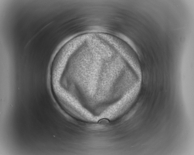 X0000103241387200809181535