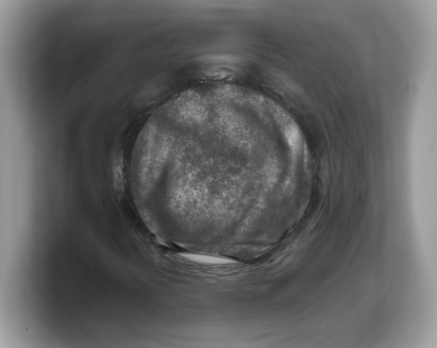 X0000103241394200809181534