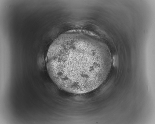 X0000103241395200809181534