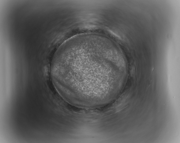 X0000103241397200809181534