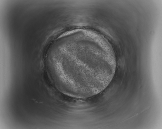 X0000103241398200809181534