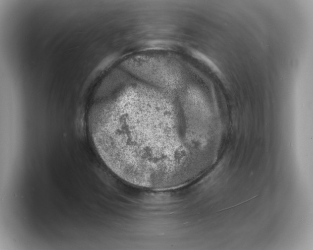 X0000103241403200809181534