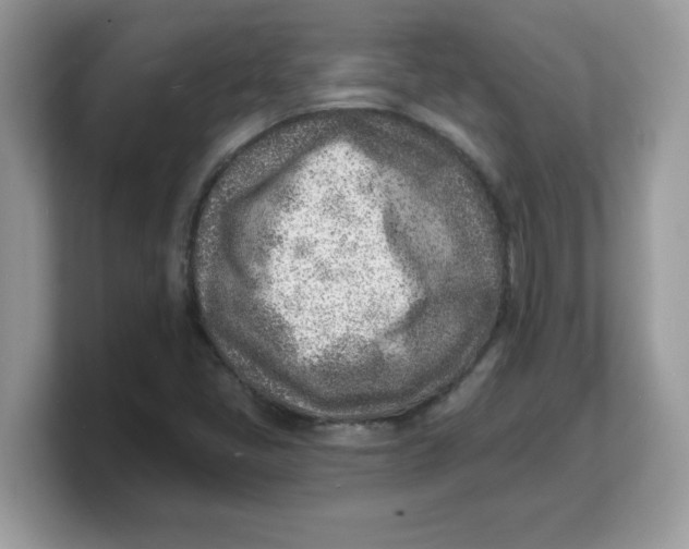 X0000103241405200809181535