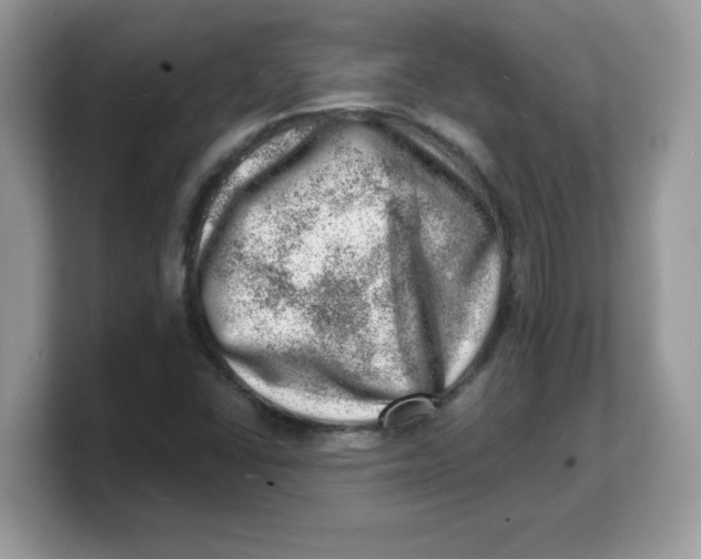 X0000103241406200809181535