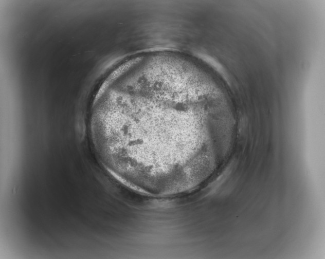 X0000103241407200809181535