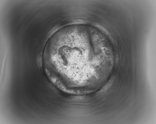 X0000103241409200809181535