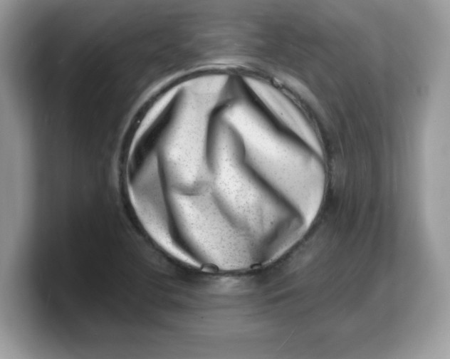 X0000103241412200809181535