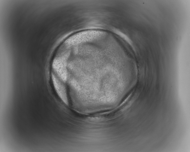 X0000103241415200809181535