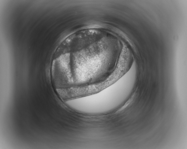 X0000103241417200809181535