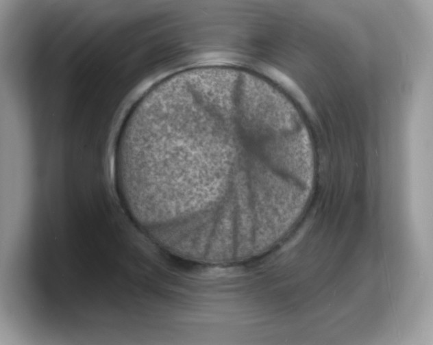 X0000103241419200809181535