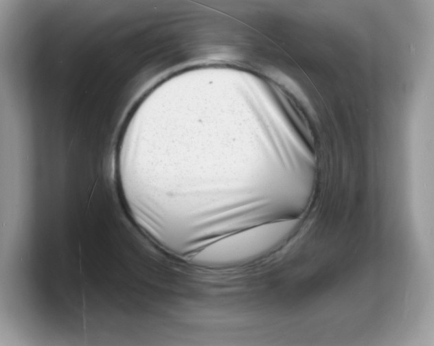 X0000103241420200809181535