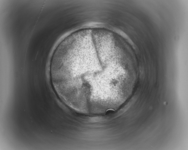 X0000103241421200809181535