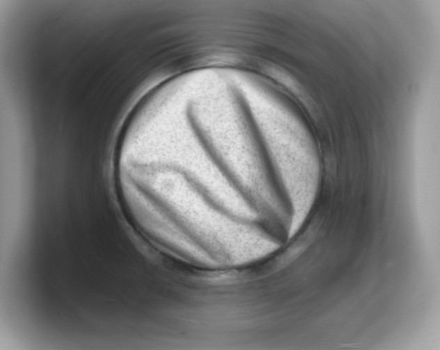 X0000103241426200809181535