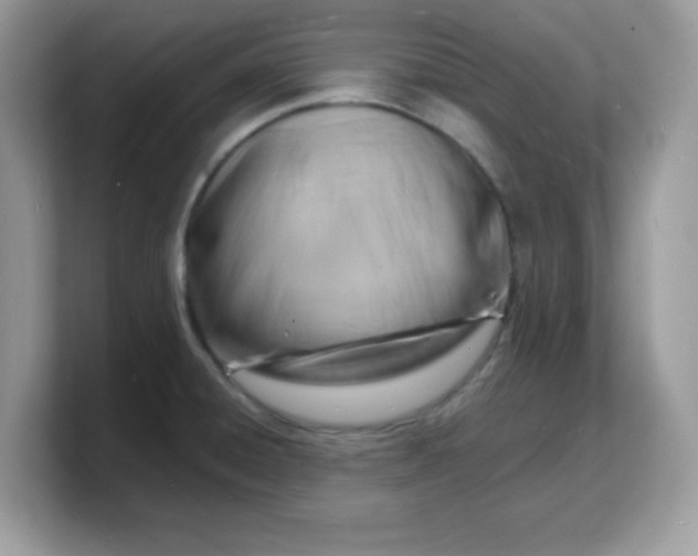 X0000103241428200809181535