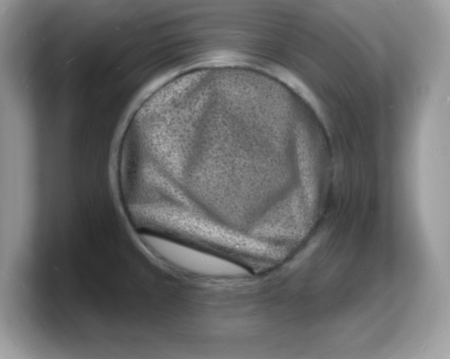 X0000103241429200809181535