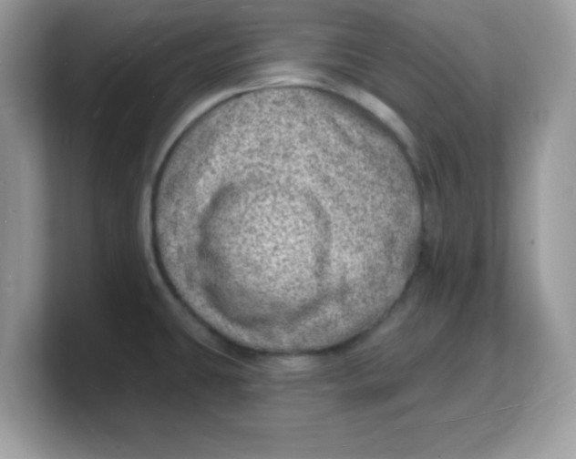 X0000103241431200809181535