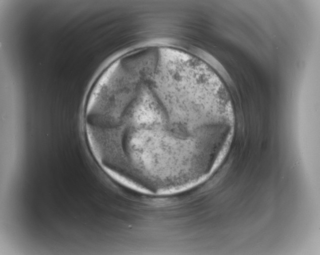 X0000103241436200809181535