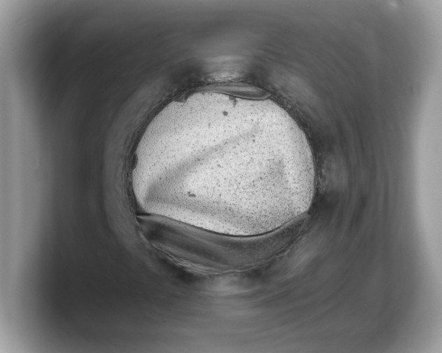 X0000103241441200809181534