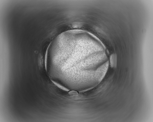 X0000103241443200809181534