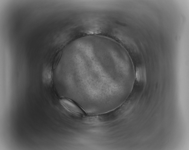 X0000103241444200809181534