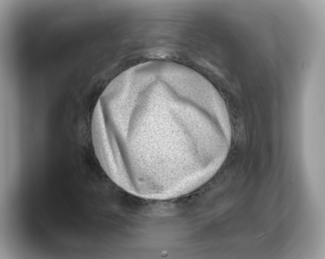 X0000103241446200809181534