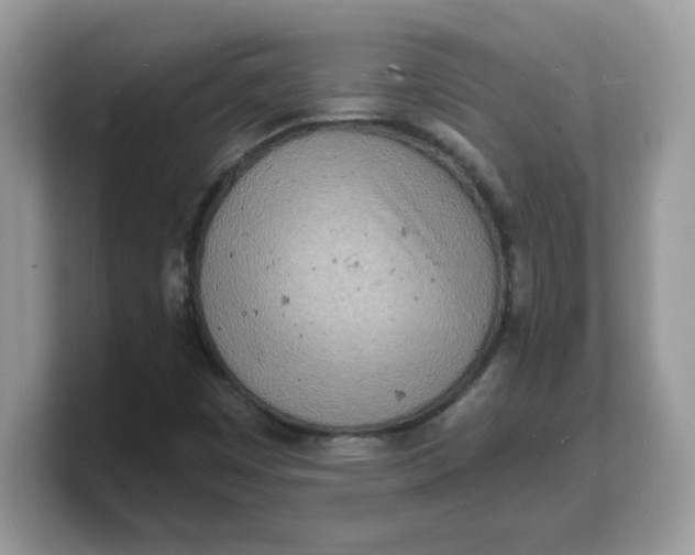 X0000103241449200809181534