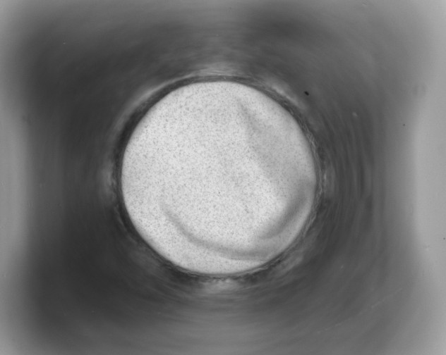 X0000103241454200809181534