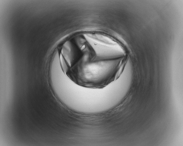 X0000103241456200809181534