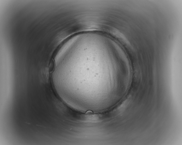 X0000103241457200809181534