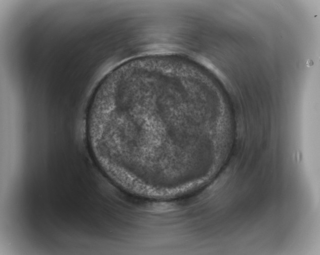 X0000103241459200809181534