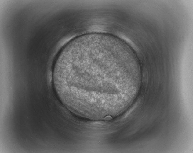 X0000103241461200809181534