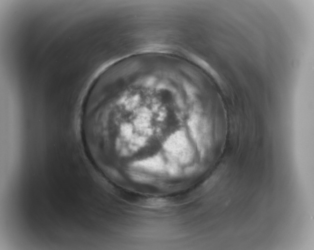 X0000103241463200809181534