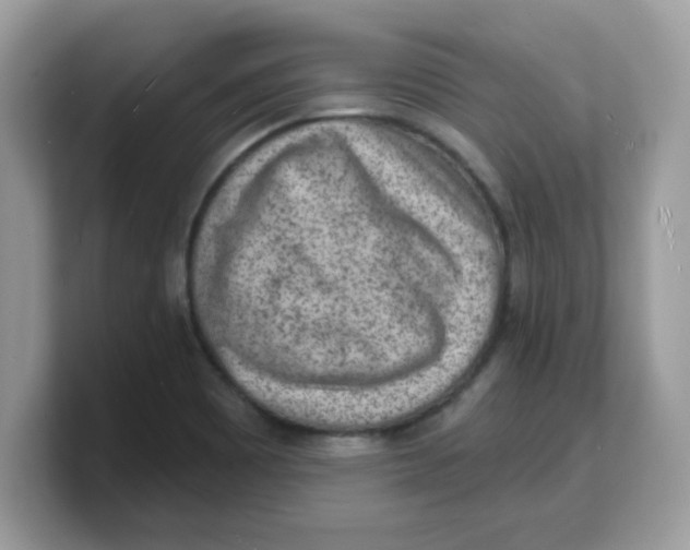 X0000103241465200809181534