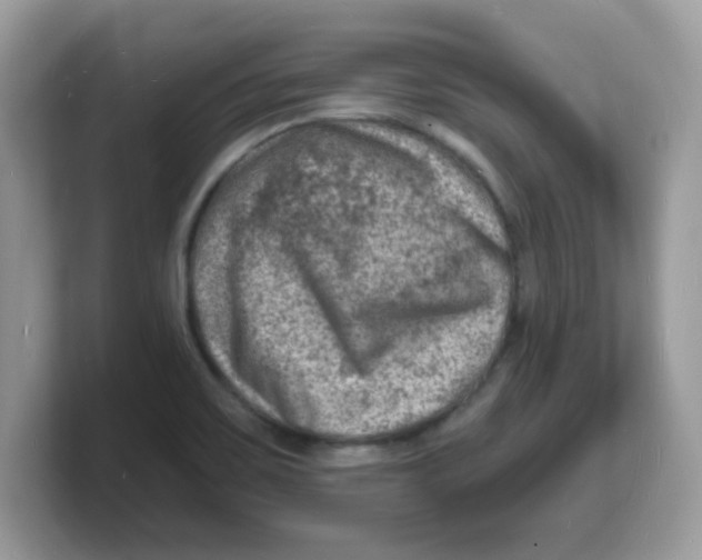 X0000103241467200809181534