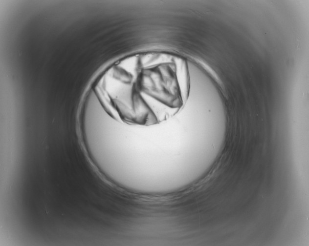 X0000103241468200809181534