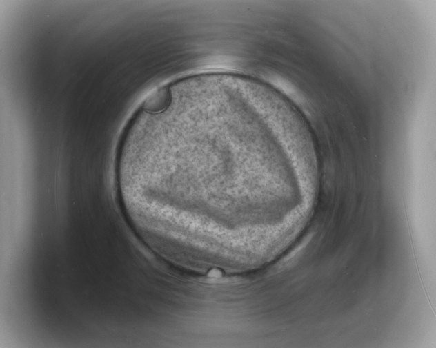 X0000103241469200809181534