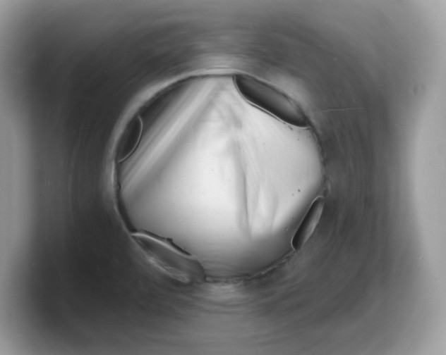 X0000103241472200809181534