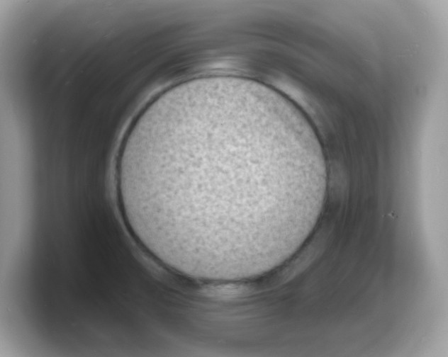 X0000103241474200809181534