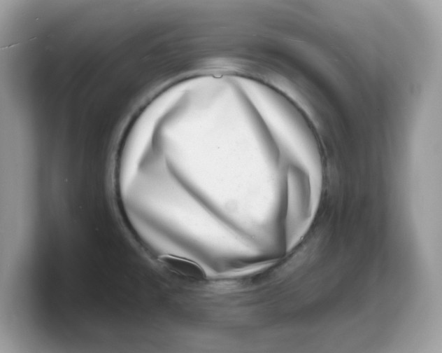 X0000103241477200809181534