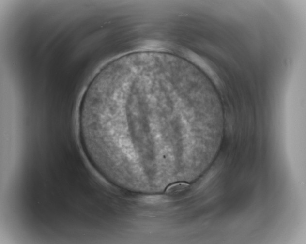 X0000103241479200809181534